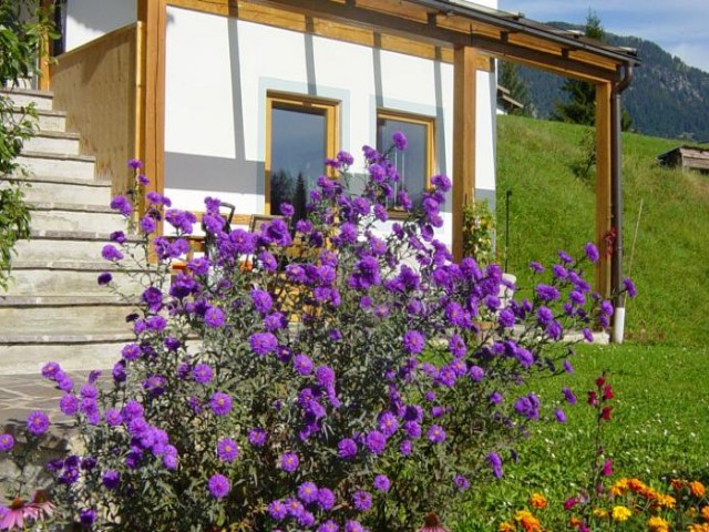 Ferienhaus & Ferienwohnungen Joel
